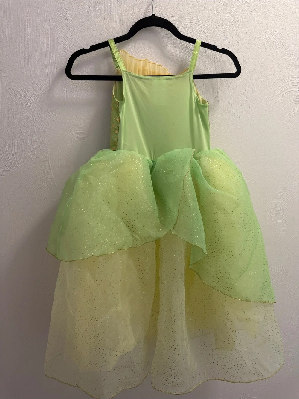 Disney fairy costume